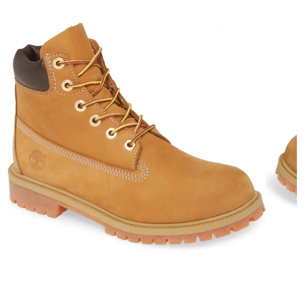 Timberland Big Kids 6-Inch Premium Waterproof Boots
